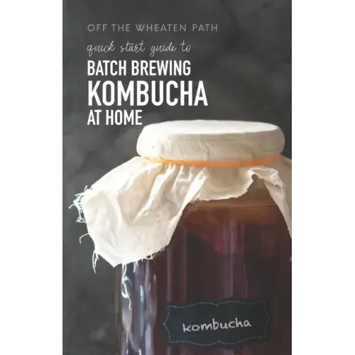 A Quick Start Guide to Batch Brewing Kombucha at Home