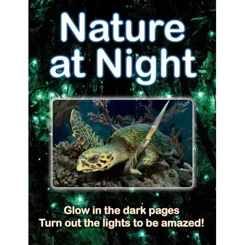 Nature at Night