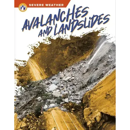 Avalanches and Landslides