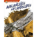 Avalanches and Landslides