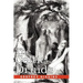 The Celtic Druids
