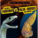 Black Mamba vs. Blue-Ringed Octopus