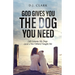 God Gives You the Dog You Need: Life Lessons My Dogs (and a Few Others) Taught Me