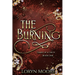 Diary of a Deity - The Burning