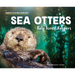 Sea Otters: Kelp Forest Keepers: Kelp Forest Keepers