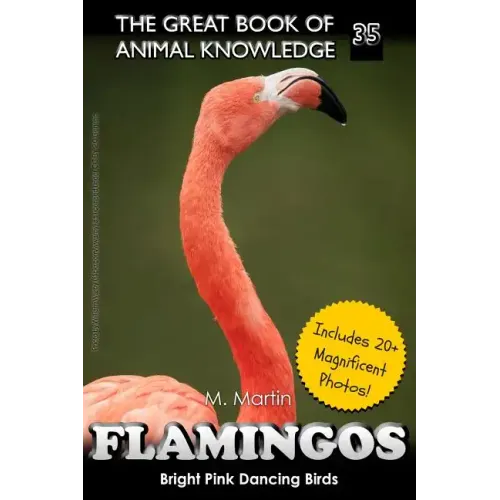 Flamingos: The Bright Pink Dancing Birds