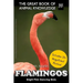 Flamingos: The Bright Pink Dancing Birds