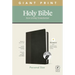 NLT Personal Size Giant Print Bible, Filament Enabled Edition (Red Letter, Leatherlike, Black/Onyx, Indexed)
