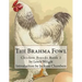 The Brahma Fowl