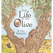 The Life of an Olive