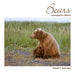 Bears: A Photographic Collection
