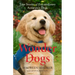 Wonder Dogs