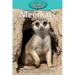 Meerkats