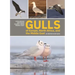 Gulls of Europe, North Africa, and the Middle East: An Identification Guide