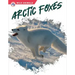 Arctic Foxes