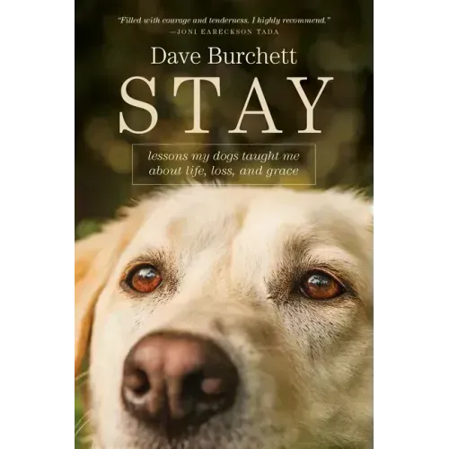 Stay: Lessons My Dogs Taught Me about Life, Loss, and Grace