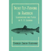 Trout Fly-Fishing in America - Illustrations and Plates by H. H. Leonard