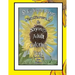 D. McDonald Designs Sunflowers & Sayings Adult Coloring Book