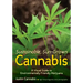 Sustainable, Sun-Grown Cannabis: A Visual Guide to Environmentally Friendly Marijuana