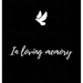 Memorial Guest Book (Hardback cover): Memory book, comments book, condolence book for funeral, remembrance, celebration of life, in loving memory fune
