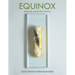 Equinox: Seasonally Inspired Petit Gateaux