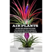 Air Plant: Step by Step Guide to Growing Tillandsia + Tips for Indoor Plants
