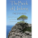 The Book of Undoing: Direct Pointing to Nondual Awareness