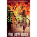 DARK LITTLE SECRETS (Eva Rae Thomas FBI Mystery Book 16)
