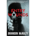 Entry Wounds: A Supernatural Thriller