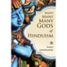 Many Many Many Gods of Hinduism: Turning believers into non-believers and non-believers into believers
