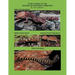 A Field Guide to the Geckos of Northern Territory