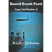 Bound Brook Pond: Cape Cod Mystery II
