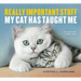 Really Important Stuff My Cat Has Taught Me