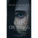 Walls Crumbling: A Seth Browne Novel, Book Two