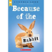 Because of the Rabbit