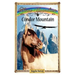 Condor Mountain: Sometimes Horses Need a Little Magic