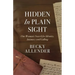 Hidden In Plain Sight: One Woman's Search for Identity, Intimacy and Calling