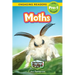 Moths: Backyard Bugs and Creepy-Crawlies (Engaging Readers, Level Pre-1)