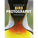 Creative Bird Photography: Essential Tips and Techniques