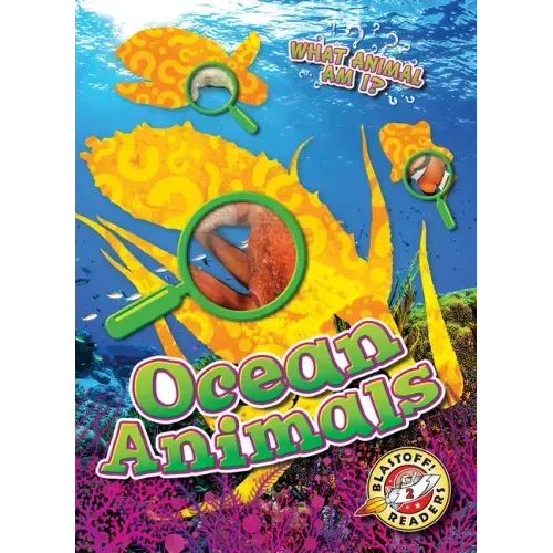 Ocean Animals