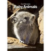 Our Nevada: Baby Animals