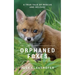 Orphaned Foxes: A True Tale of Rescue and Release