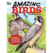 Amazing Birds Coloring Book