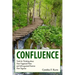 Confluence: Tools for Thinking about How Organized Plans and Self-organized Patterns Flow Together