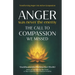 Anger Was Never the Enemy: The Call to Compassion We Missed