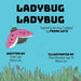 Ladybug Ladybug