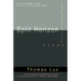 Split Horizon Pa
