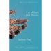 A Million Little Pieces