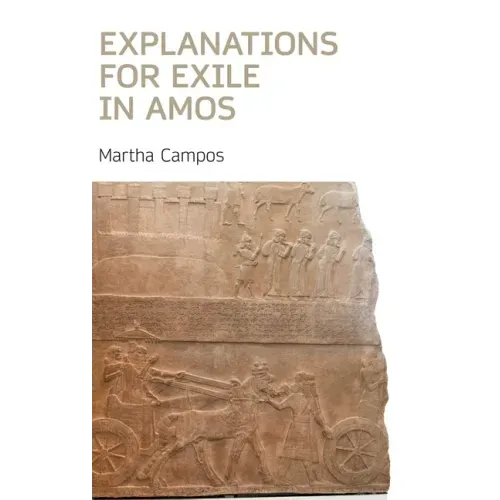 Explanations for Exile in Amos