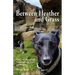 Between Heather and Grass: Poems and Photographs Filled with Love, Hope and Whippets